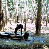 "Rubber Plantation Worker - March 1968 - On the Road - ABtry 6/27th Arty"